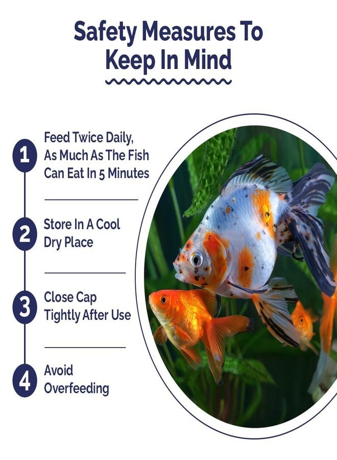 كينكو حبيبات كينكو جروول إنتان للأسماك الذهبية (صغيرة عائمة 1.5 مم) | 460 جم - غذاء عالي القيمة الغذائية لجميع أنواع الأسماك الذهبية - ريوكين، ريد كاب، رانشو، وليون هيد (460 جم) - Image 5